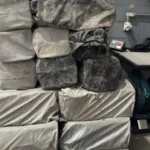 Mais de 500 kg de cocaína são apreendidos no Porto de Salvador
