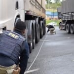Operação Carga Pesada: PRF flagra mais de 546 toneladas em excesso de peso nas rodovias federais da Bahia