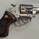 Comissão do Senado aprova projeto que susta decreto sobre armas