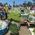 Com R$ 13 milhões, MDS lança PAA Alimentos para Unidades de Conservação na Bahia