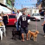 Dia D da Campanha Antirrábica leva vacinação gratuita para bairros e shoppings de Salvador neste fim de semana