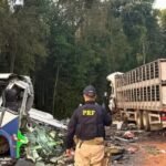 Grave acidente entre micro-ônibus e carreta deixa mais de 20 mortos no Paraná