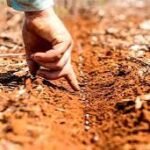 Começa a contagem regressiva para a antecipação do plantio da soja