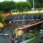 Governador Jerônimo Rodrigues decreta luto oficial de três dias na Bahia pelas mortes de quatro crianças em Paramirim