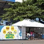 Castramóvel oferece castração gratuita de cães e gatos na Avenida Paralela a partir da p Texto: Fabiane Humildes / Secom PMS